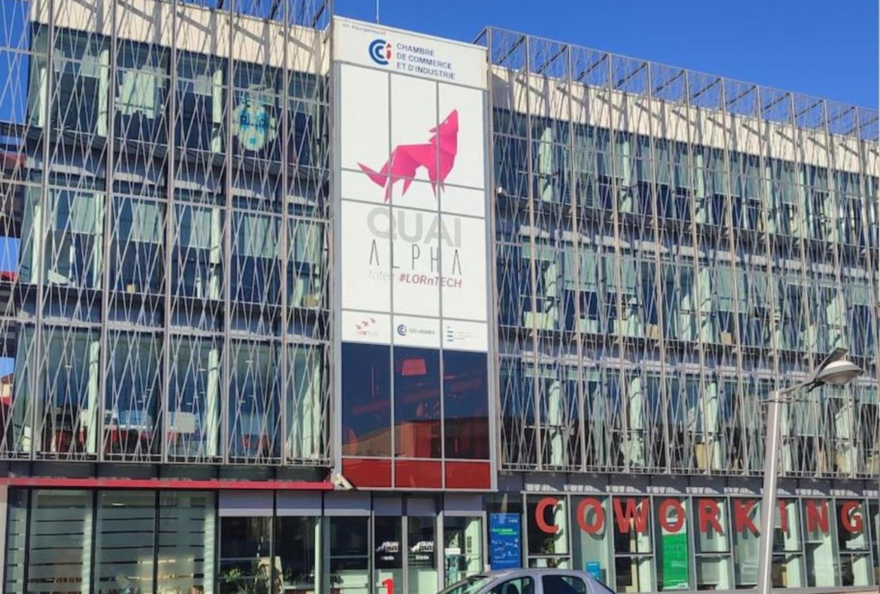 Logement Spacieux - Face A La Gare Et Centre-Ville Epinal Ngoại thất bức ảnh